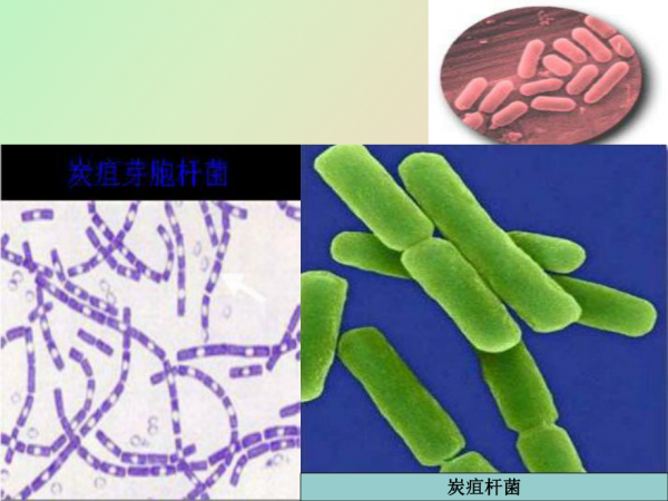 微信圖片_20240801095527.png 微信圖片_20240801095527.png
