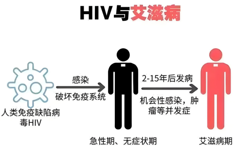微信圖片_20250116092059.png
